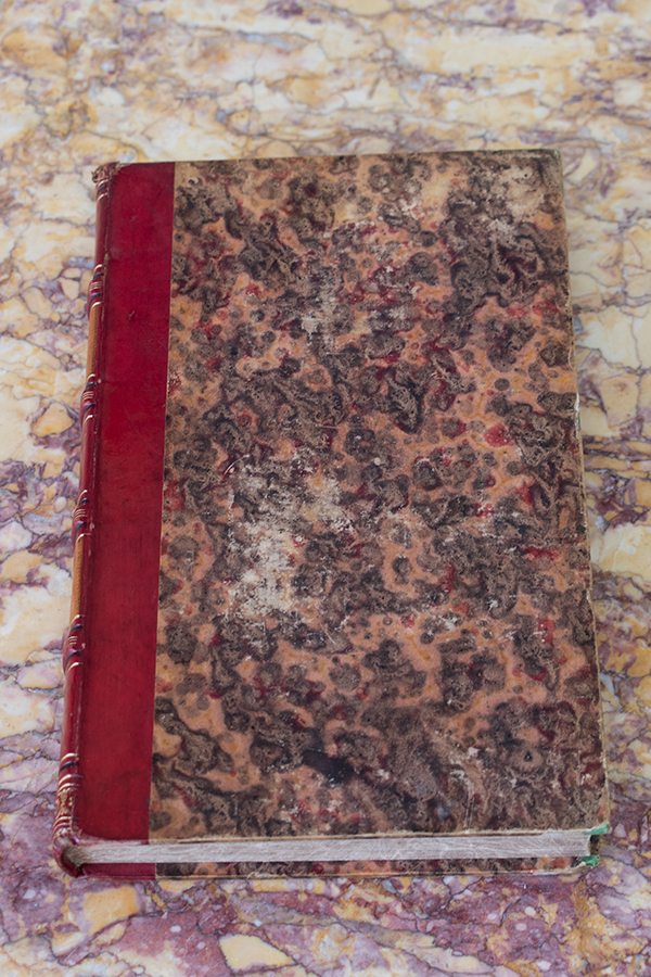 フランスアンティークブックのカバー.jpg フランスアンティークブックのカバー.jpg