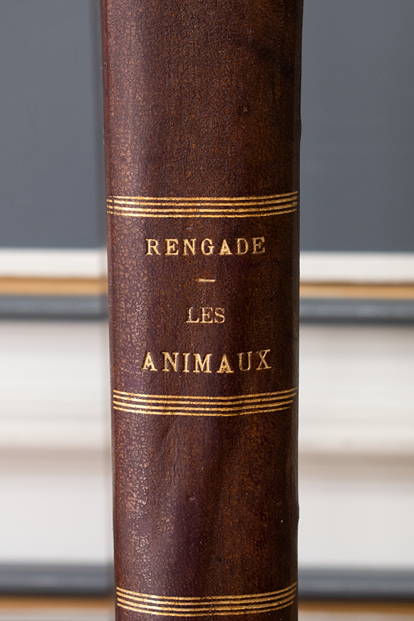 フランスアンティーク動物学本のタイトル.jpg